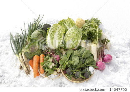 Snow vegetables 14047700