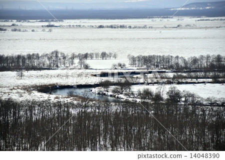 釧路沼澤的冬天 14048390