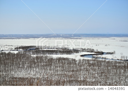 釧路沼澤的冬天 14048391