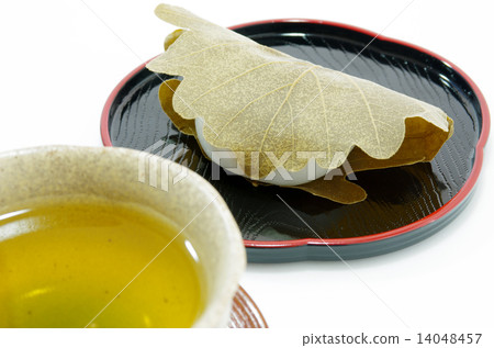 Kashiwamochi 14048457