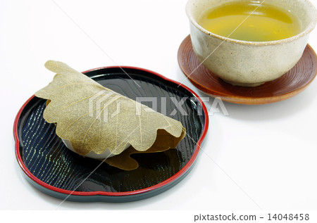 Kashiwamochi 14048458