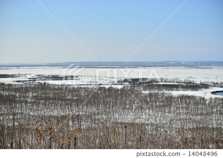 Winter in Kushiro Marsh Winter in Kushiro Marsh 14048496