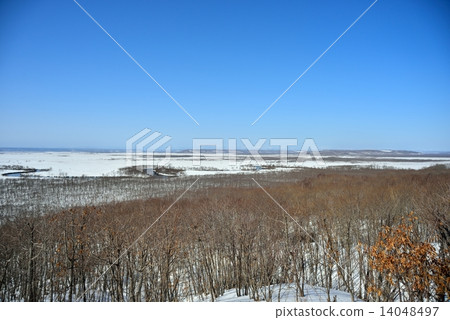 Winter in Kushiro Marsh Winter in Kushiro Marsh 14048497