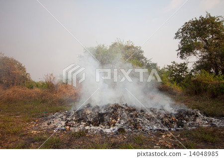 wildfire or forest fire in the nature, Firefighters will be fighting fire. wildfire or forest fire in the nature, Firefighters will be fighting fire. 14048985