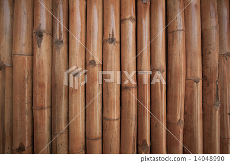 Bamboo wall background in the building. Close up bamboo wall. 14048990