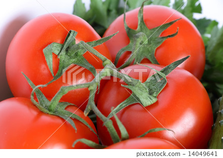 Still life with fresh vegetables 14049641