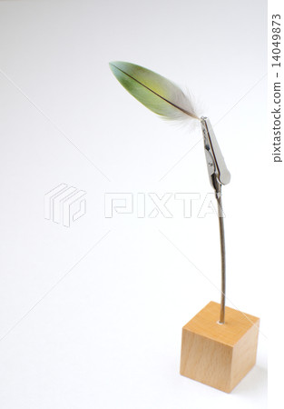 Clipped feathers 14049873