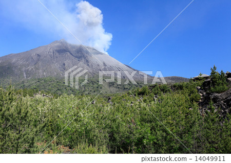 櫻島 櫻島 14049911