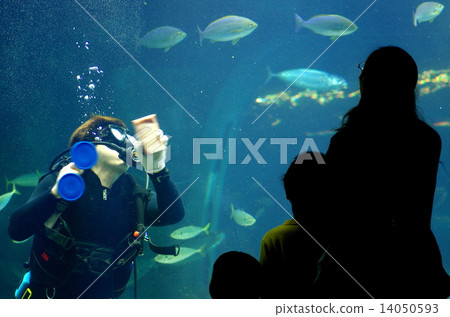 Aquarium cleaning 14050593
