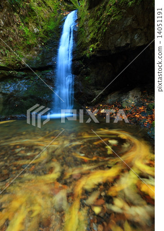 奧多摩·Otakayama七代瀑布瀑布軌跡漂浮在水面上 14051191