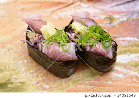 美味的螢火蟲魷魚戰艦傷口 14051549