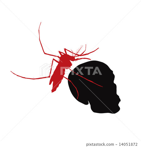 Red mosquito hold on human skull 14051872