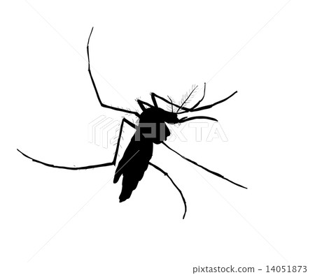 Silhouett of mosquito 14051873