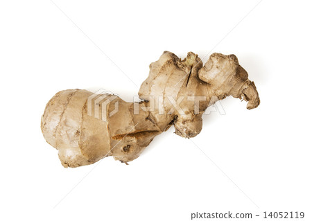 Raw ginger Raw ginger 14052119