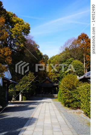 Silkoma公司 14052490