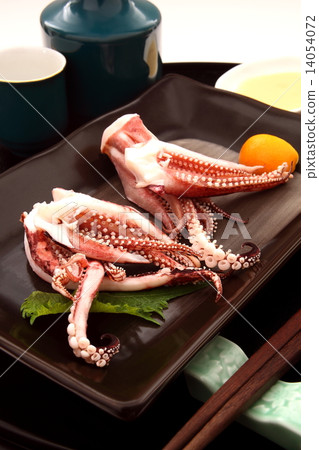 Squid caterpillar Japanese style Japanese breeze white background 14054072