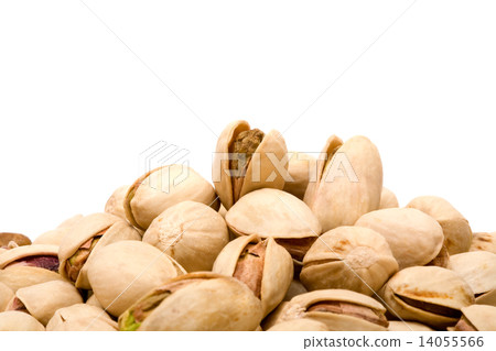 Pistachio 14055566