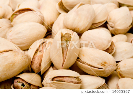 Pistachio 14055567