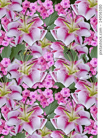 background, flowers, material 14056380