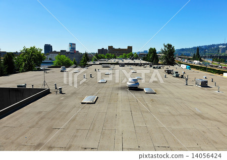 Portland 14056424
