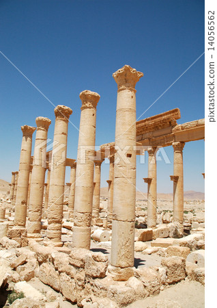 Syria Palmyra 14056562