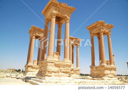 Syria Palmyra Syria Palmyra 14056577