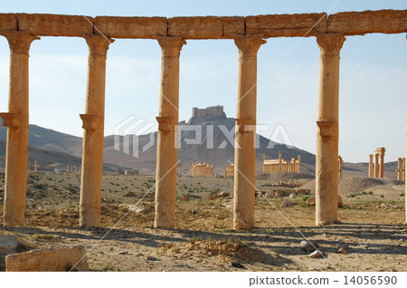 Syria Palmyra Syria Palmyra 14056590