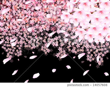 Cherry blossom background 14057608