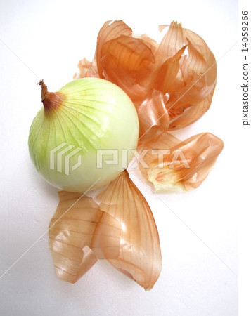 準備一道菜將洋蔥去皮 14059266