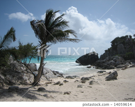 Mexico Tulum Ruins Mexico Tulum Ruins 14059614