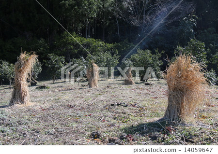 Straw enclosure 14059647