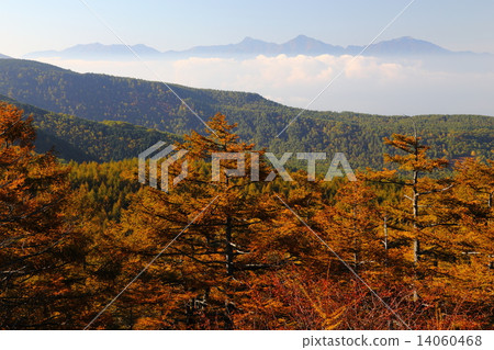 從Hyuga Kiba天文台的南阿爾卑斯山 14060468
