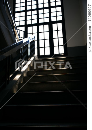 to the light to the light 14060607