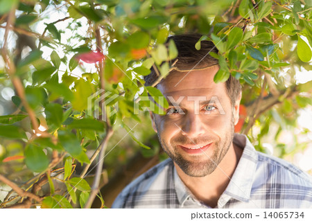 Happy man smiling at camera 14065734