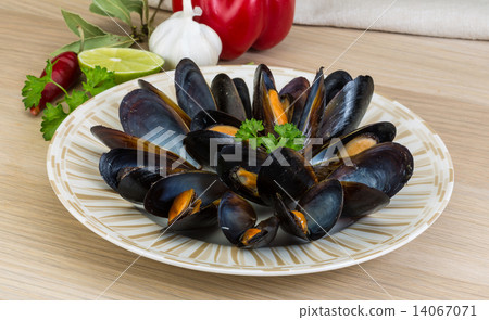 Mussels 14067071