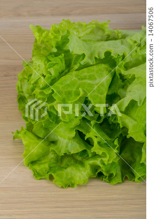 Salad leaves 14067506
