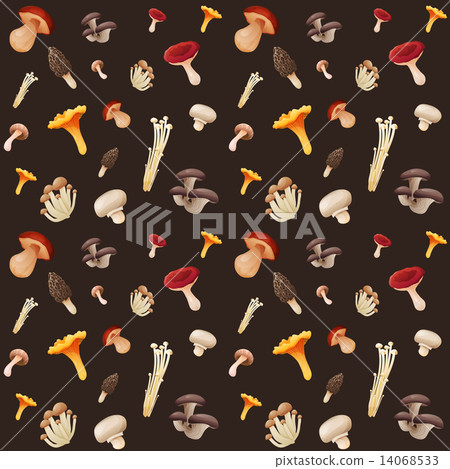 Mushroom seamless pattern 14068533