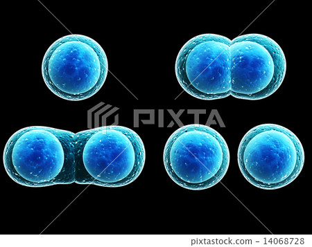 Process division of cell Process division of cell 14068728