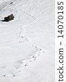 在雪地上的腳印 在雪地上的腳印 14070185
