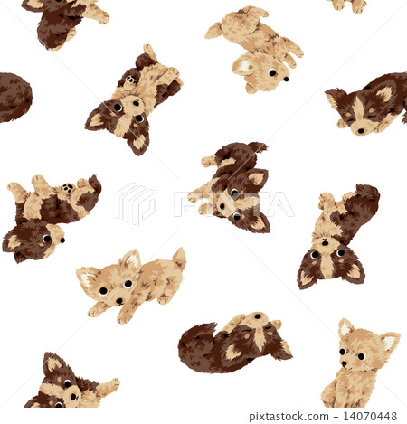  A handle of a cute dog 14070448