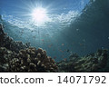 Scenery of the sun and the seabed 14071792