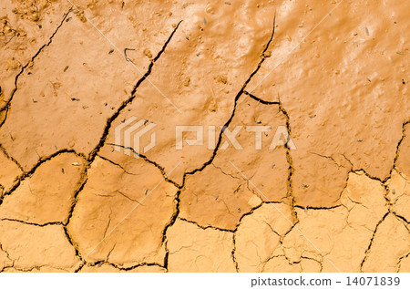 texture of dry and cracked earth background texture of dry and cracked earth background 14071839
