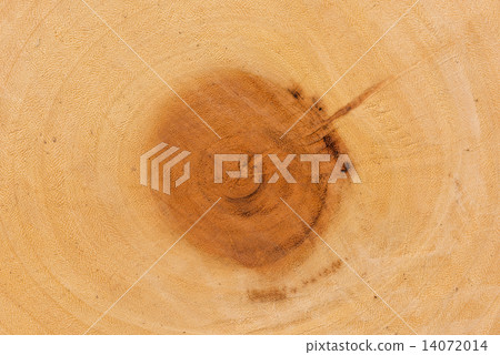 Cut of old trunk is photographed closely. The core of tree consist of growth rings and deep cracks. 14072014