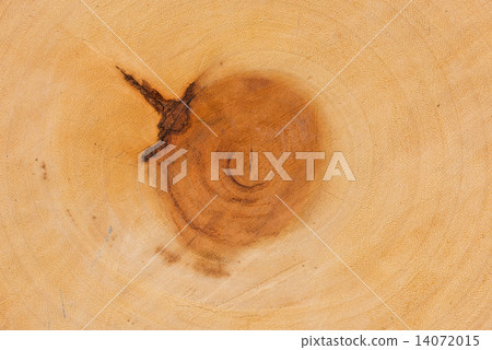 Cut of old trunk is photographed closely. The core of tree consist of growth rings and deep cracks. 14072015
