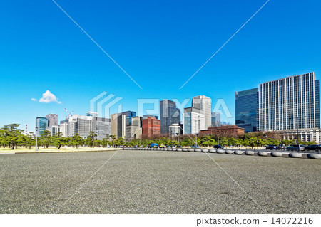 皇家外苑的一棵松樹,藍天蔓延,丸之內的摩天大樓群 皇家外苑的一棵松樹,藍天蔓延,丸之內的摩天大樓群 14072216