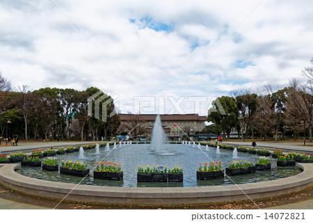 上野公園噴泉廣場早開花鬱金香和東京國立博物館 14072821
