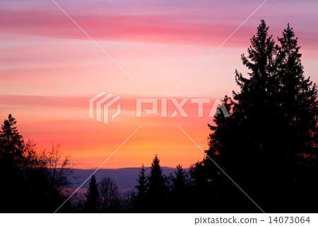 Beautiful sunset sky and tree silhouettes Beautiful sunset sky and tree silhouettes 14073064