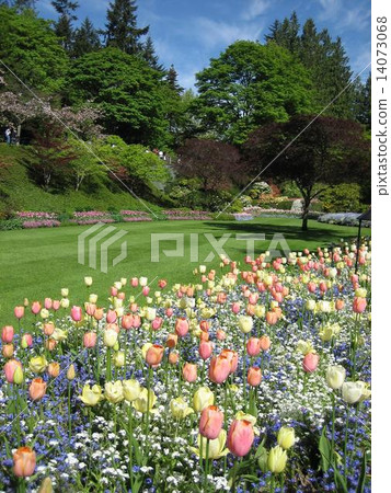 加拿大Butchartart花園 加拿大Butchartart花園 14073068