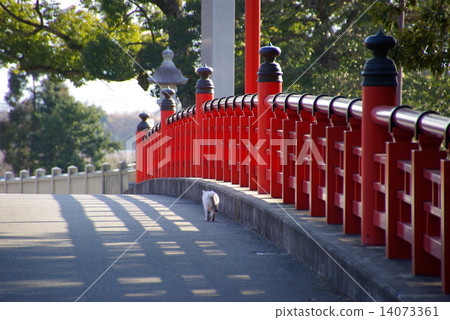 Red railings and cats Red railings and cats 14073361