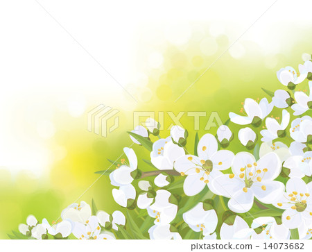 Vector spring blossoming tree on bokeh background. Vector spring blossoming tree on bokeh background. 14073682